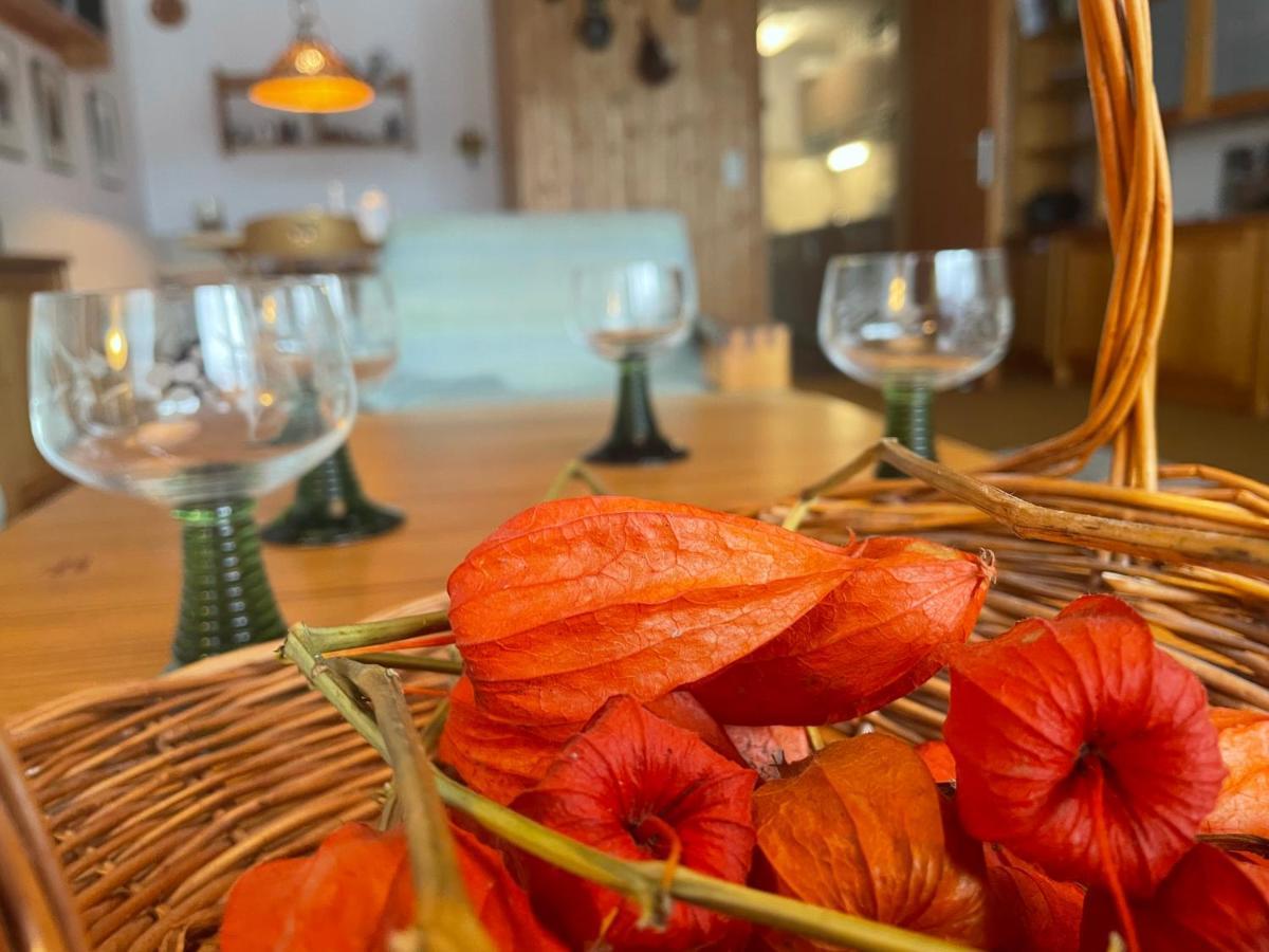 Ferienwohnung Berganemone 上施陶芬 外观 照片